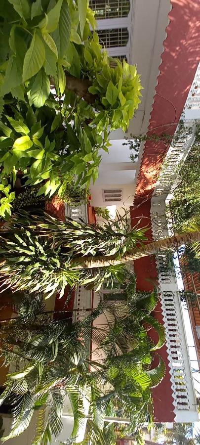 Daphne Hotel Mahabalipuram Buitenkant foto