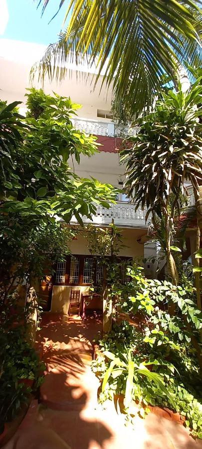Daphne Hotel Mahabalipuram Buitenkant foto