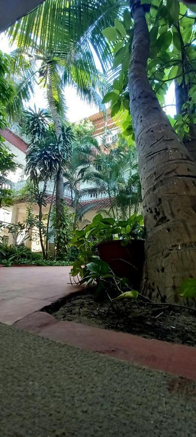 Daphne Hotel Mahabalipuram Buitenkant foto